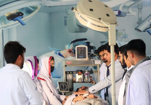 WhatsApp Image 2023-08-01 at 1.01.30 PM